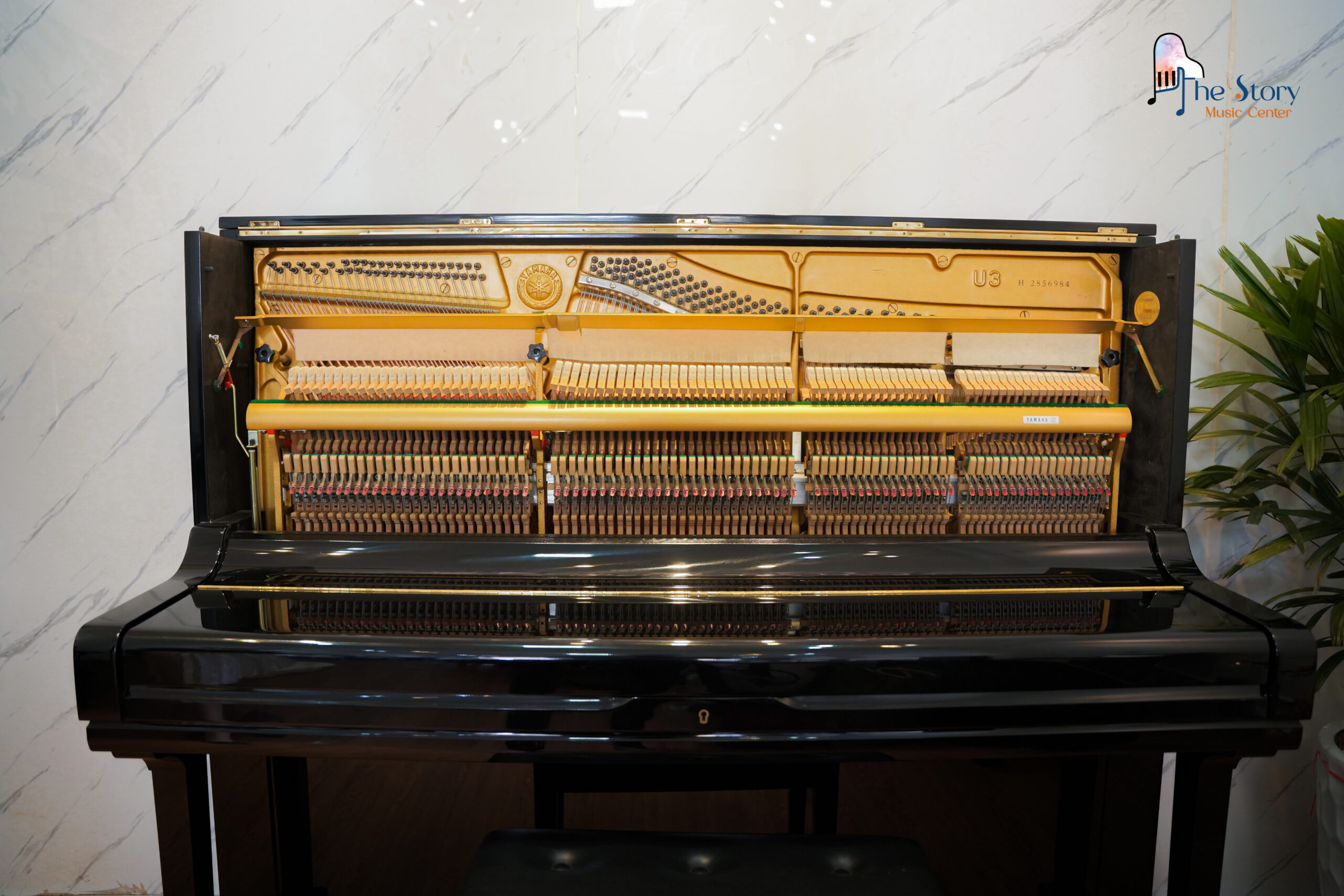 Dấu hiệu cho thấy đàn piano của bạn cần được sửa ngay 