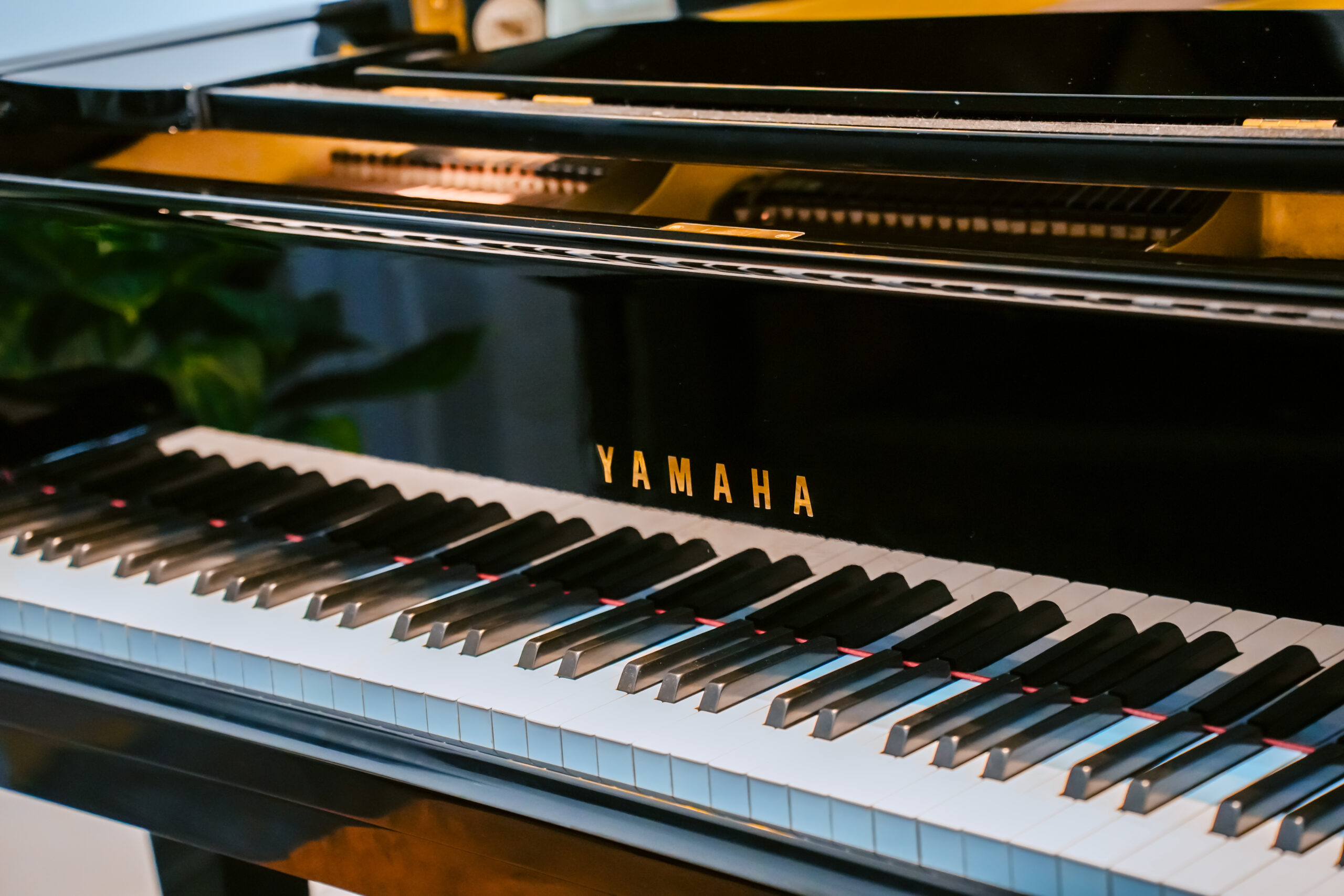 Mua Đàn Piano: Đừng Bỏ Qua Chính Sách Bảo Hành