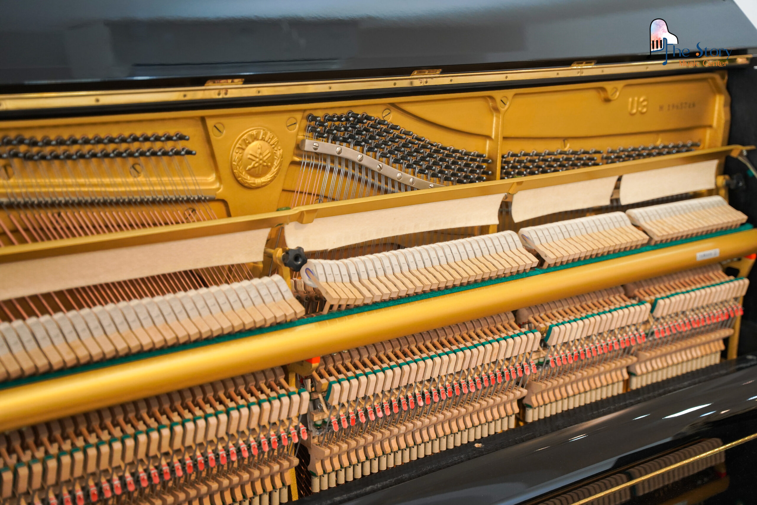 TOP 5 DÒNG PIANO CƠ ĐƯỢC YÊU THÍCH NHẤT TẠI THE STORY MUSIC CENTER 2025