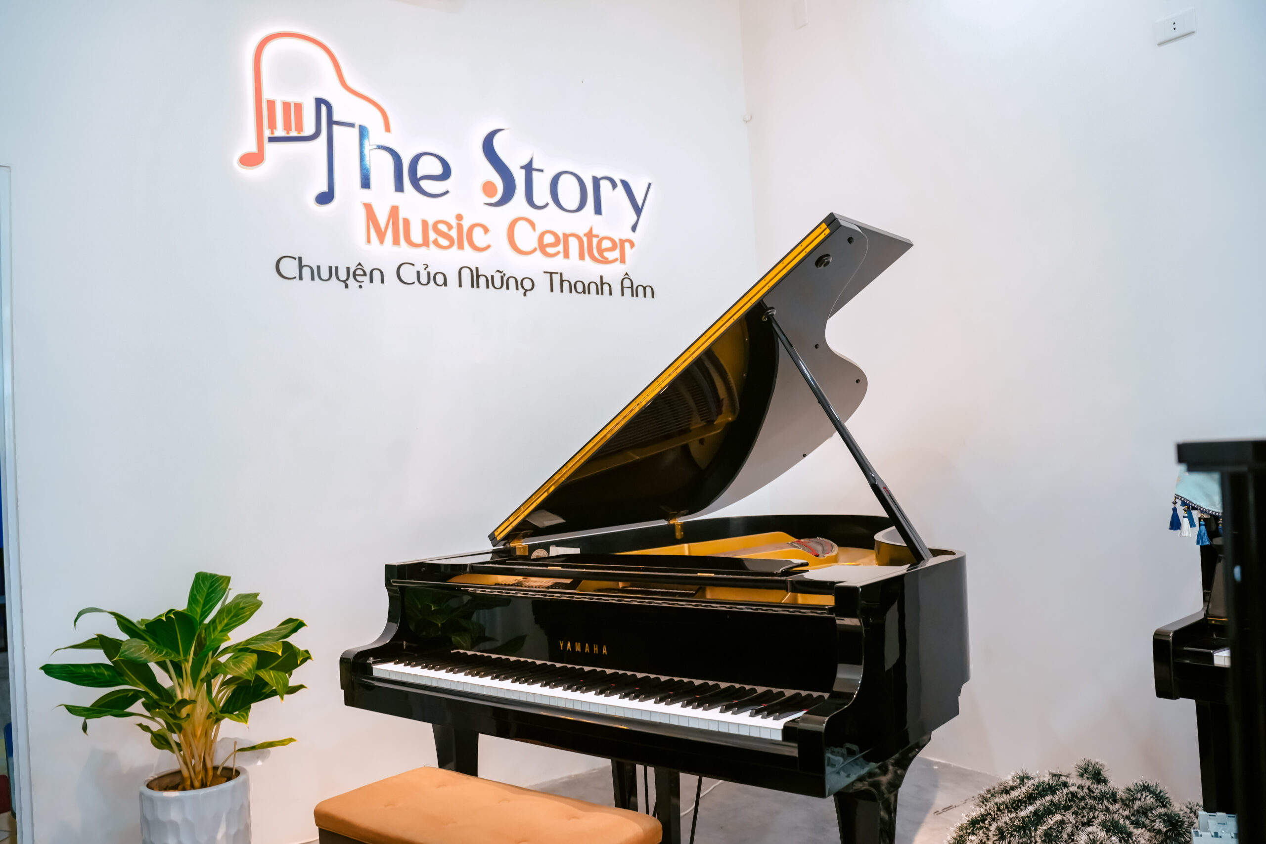 Mua Đàn Piano: Đừng Bỏ Qua Chính Sách Bảo Hành